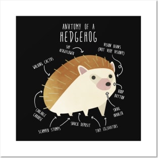 Hedgehog Anatomy Posters and Art